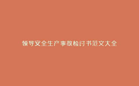 领导安全生产事故检讨书范文大全