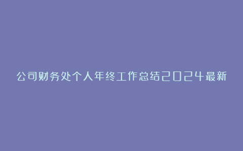 公司财务处个人年终工作总结2024最新10篇