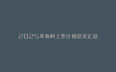 2025年农村工作计划范文汇总