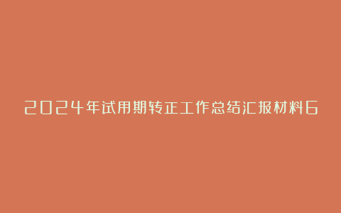 2024年试用期转正工作总结汇报材料6篇