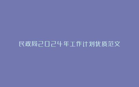 民政局2024年工作计划优质范文