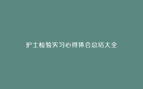 护士检验实习心得体会总结大全