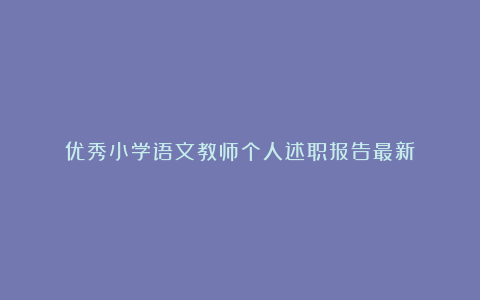 优秀小学语文教师个人述职报告最新