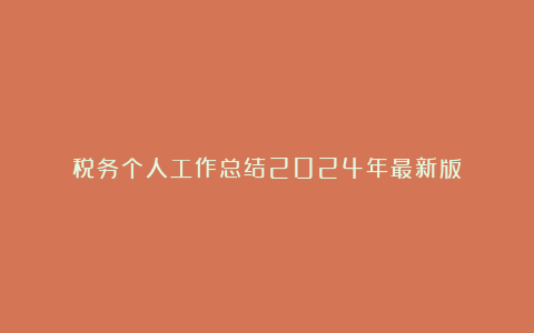 税务个人工作总结2024年最新版