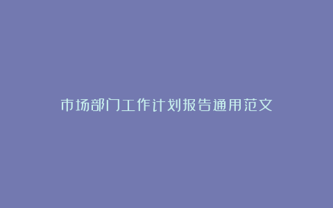 市场部门工作计划报告通用范文