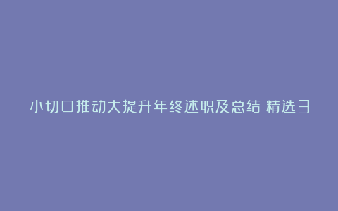 小切口推动大提升年终述职及总结（精选30条）