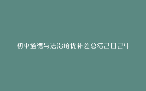 初中道德与法治培优补差总结2024