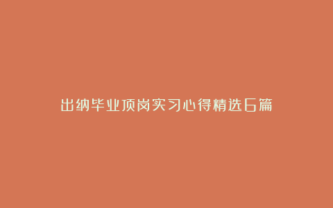 出纳毕业顶岗实习心得精选6篇