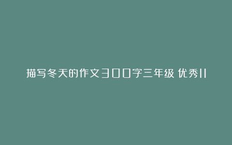 描写冬天的作文300字三年级（优秀11篇）