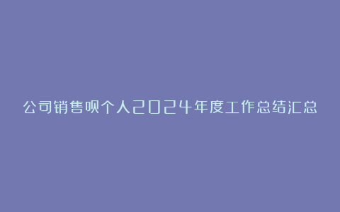 公司销售员个人2024年度工作总结汇总