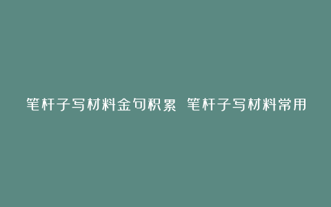 笔杆子写材料金句积累 笔杆子写材料常用词汇集锦