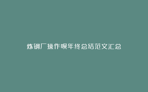 炼钢厂操作员年终总结范文汇总