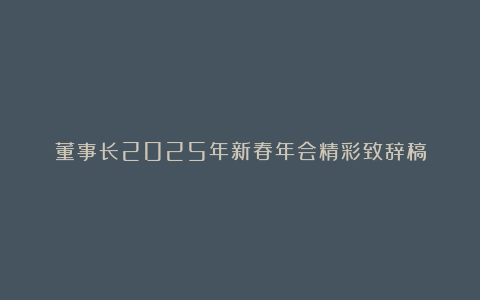 董事长2025年新春年会精彩致辞稿